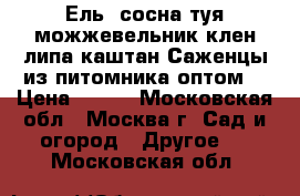 Ель, сосна,туя,можжевельник,клен,липа,каштан.Саженцы из питомника оптом. › Цена ­ 180 - Московская обл., Москва г. Сад и огород » Другое   . Московская обл.